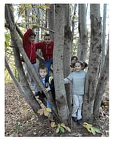"Good Practices" nel settore forestale 7 Castagneto bimbi