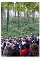 "Good Practices" nel settore forestale 6 Visita in bosco