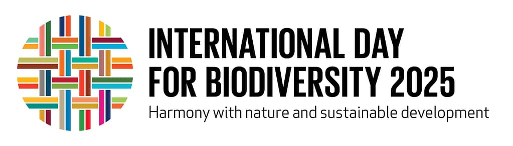 Foreste e città per la biodiversità: il ruolo chiave della certificazione forestale 1 IDB 2025 logo RGB EN