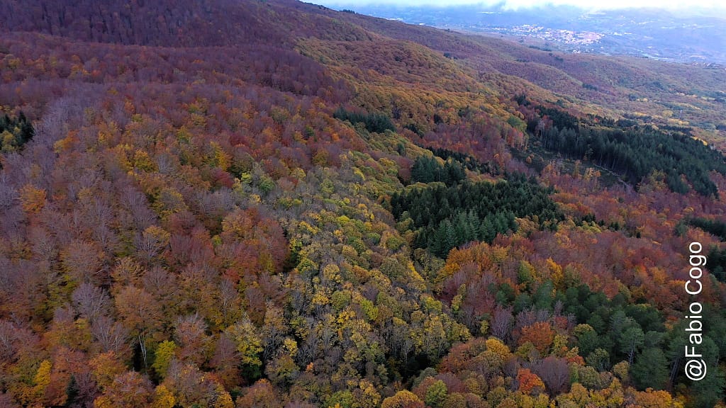 Foliage, un’esplosione di colori nelle foreste italiane 8 Monte Amiata2