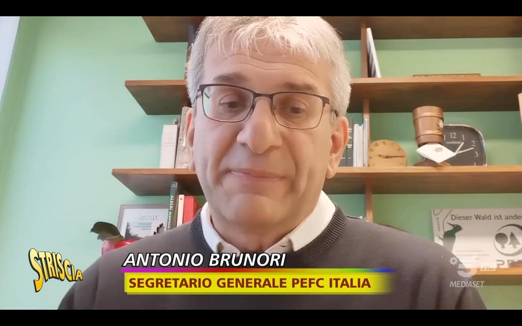 La rassegna stampa PEFC di Natale 1 Schermata 2023 12 19 alle 11.38.12