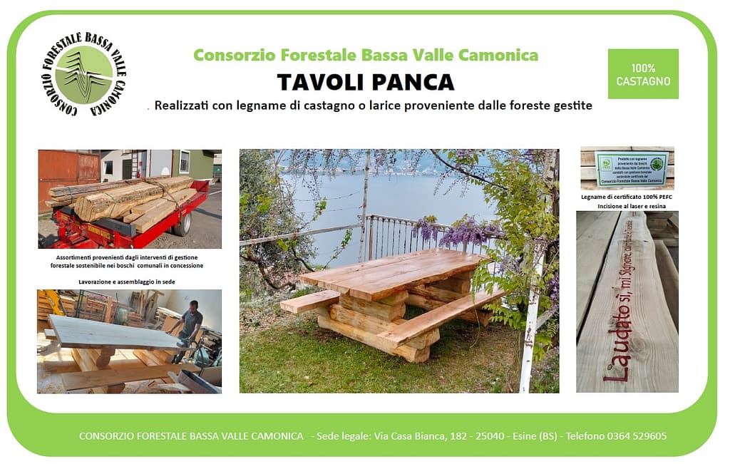 “100% Castagno”: una filiera locale per ridare valore ai castagneti abbandonati 1 199bf32d 3f66 41de 96fa 6b7ec2402dc2