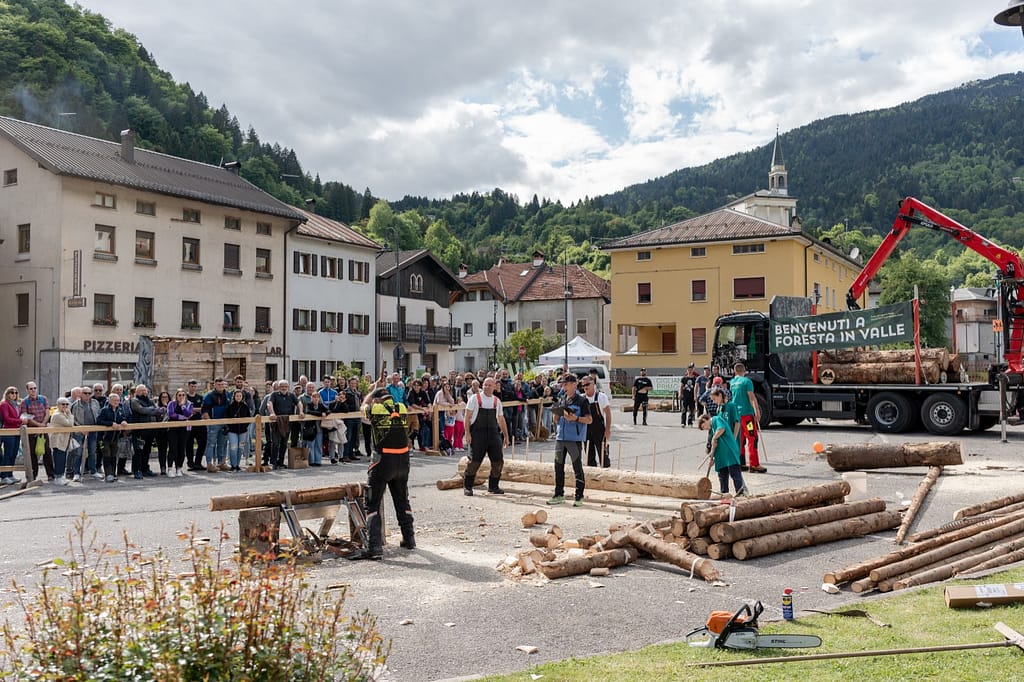 Foresta in Valle 2026: a Paularo (UD) il legno è protagonista tra comunità e gestione sostenibile 1 WhatsApp Image 2026 05 29 at 11.43.27 2 1