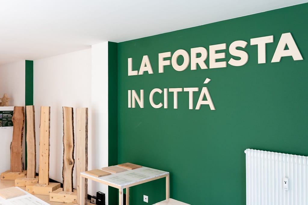 Foresta in Valle 2026: a Paularo (UD) il legno è protagonista tra comunità e gestione sostenibile 5 WhatsApp Image 2026 05 29 at 11.43.42