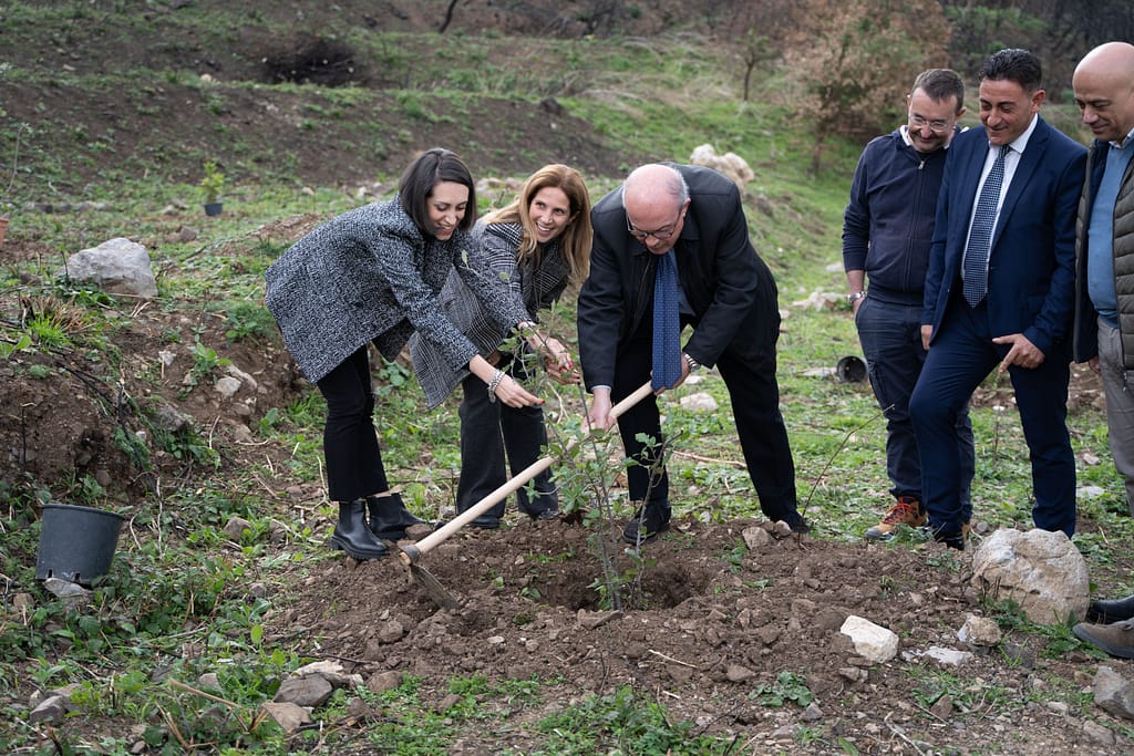 Una nuova vita dopo l’incendio. Al via il progetto di ripristino ambientale a Gratteri (PA) 1 foto 1 testo