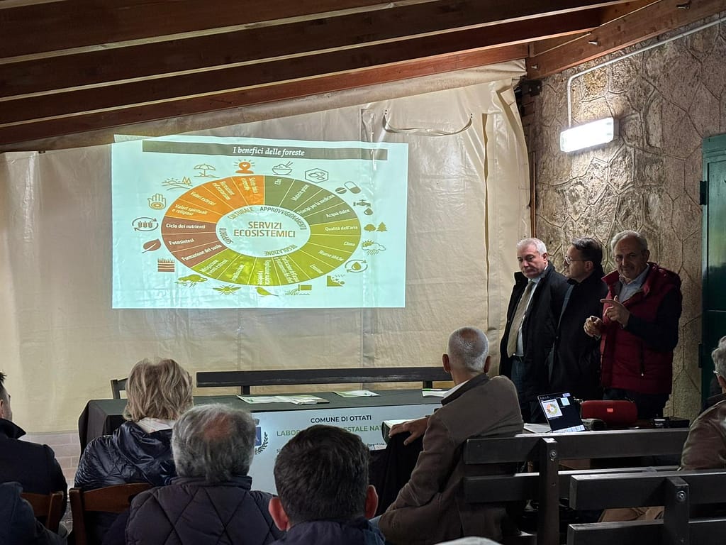 Droni e satelliti Starlink per il futuro dei boschi con Silva Lab nel Cilento 2 image002