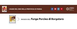Museo del fungo