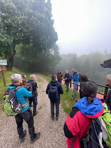 Terminato il primo percorso per la formazione sul benessere forestale PEFC 1 WhatsApp Image 2023 06 07 at 17.04.40