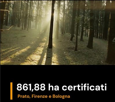 I protagonisti del Premio Comunità Forestali Sostenibili: Braga Spa 1 Braga Spa