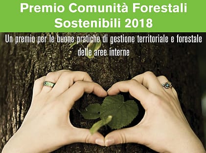 Premio “Comunità Forestali Sostenibili”: sei ancora in tempo per partecipare! 1 Premio CFS