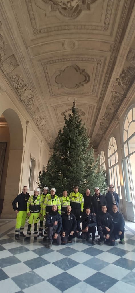 Natale sostenibile con gli abeti PEFC in piazza 4 WhatsApp Image 2023 12 14 at 09.33.56