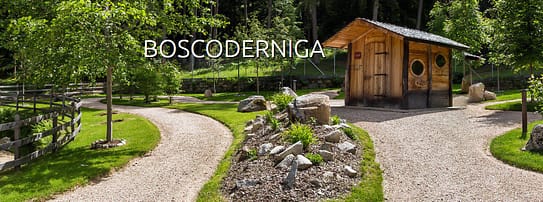 Ossana, la nuova vita di un vivaio forestale 1 bosco derniga