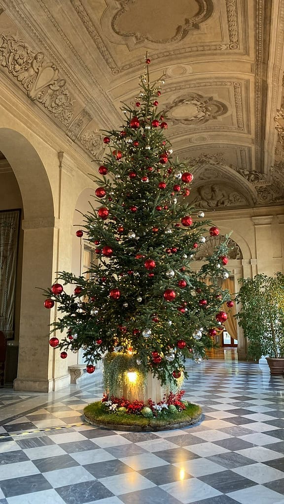 Un Natale PEFC con abeti da boschi sostenibili per luoghi e piazze d'eccezione 1 albero Quirinale
