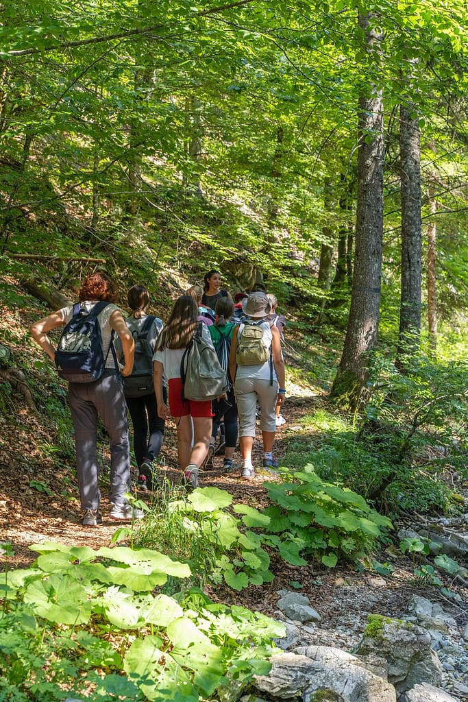 Bosco naTUra: benessere, educazione e gestione sostenibile nel cuore della Foresta di Tarvisio 1 826A1011 CA57 4DE1 8FAB 99153A55A236