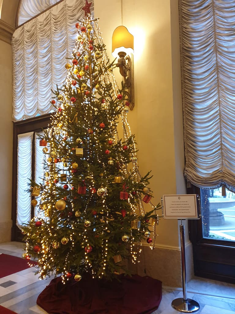 Un Natale PEFC con abeti da boschi sostenibili per luoghi e piazze d'eccezione 2 WhatsApp Image 2021 12 17 at 17.04.17