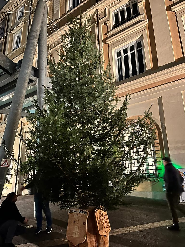 Natale sostenibile con gli abeti PEFC in piazza 2 WhatsApp Image 2023 12 12 at 12.57.05