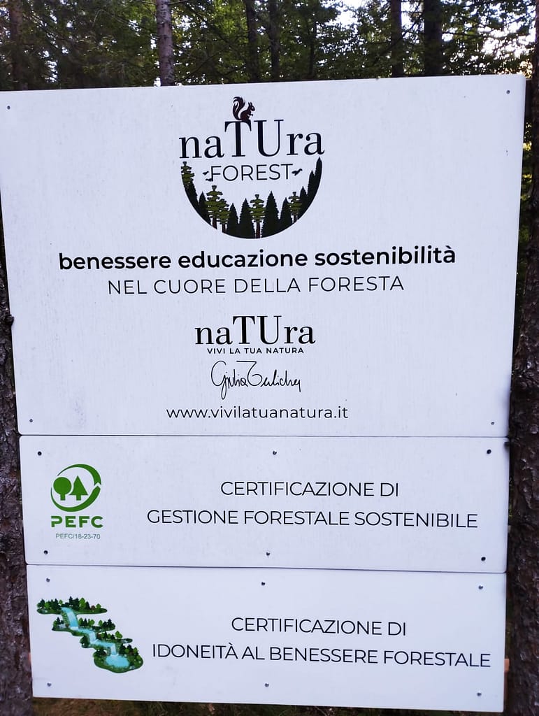 Bosco naTUra: benessere, educazione e gestione sostenibile nel cuore della Foresta di Tarvisio 3 WhatsApp Image 2026 09 18 at 16.38.21