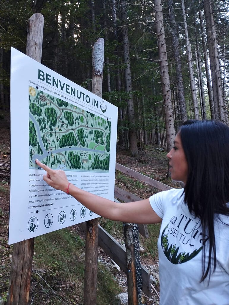 Bosco naTUra: benessere, educazione e gestione sostenibile nel cuore della Foresta di Tarvisio 2 WhatsApp Image 2026 09 18 at 16.40.02
